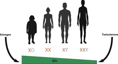 Sex chromosome differences and hormone influence