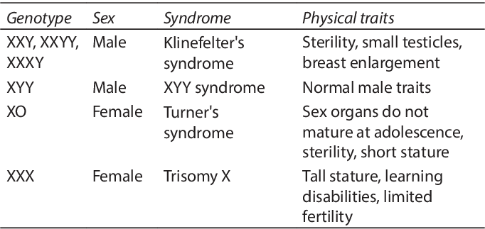 Major organs of the male reproductive system
