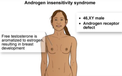 Table of sex chromosome syndromes