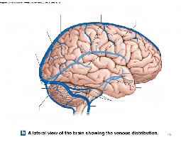 Venous drainage of the brain
