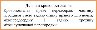Ділянки кровопостачання: Кровопостачає праве передсердя, частину передньої і всю задню стінку правого шлуночка, міжпередсердну і задню третину міжшлуночкової перегородки.