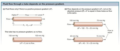 Diagram of fluid flow through tubes with different pressure gradients