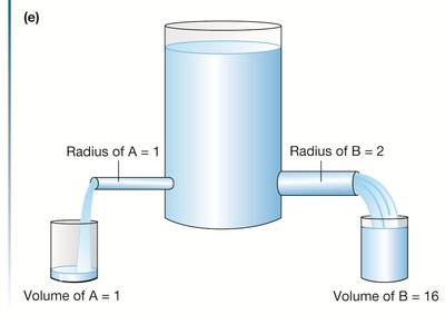 Diagram showing effect of tube radius on resistance and flow