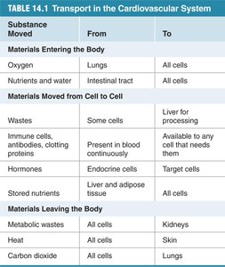 Table of substances transported in the cardiovascular system