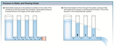Diagram of pressure in static and flowing fluids