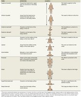 Directional terminology