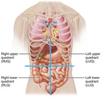 Abdominopelvic quadrants