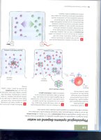 Properties of water