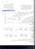 Isomers of monosaccharides