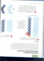 Fatty acid types