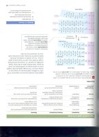 Glyceride structure