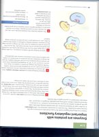 Enzyme function