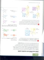 Nucleic acid structure