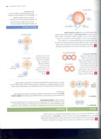 Water molecule structure