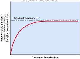 Transport maximum graph