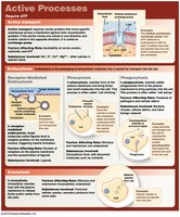Active processes overview