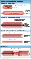 Factors affecting friction and vascular resistance