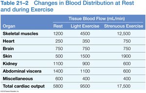Changes in blood distribution at rest and during exercise
