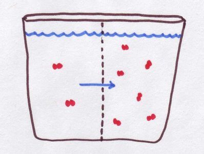 Osmosis diagram representing osmotic diuresis in diabetes