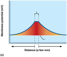 Decay of graded potential with distance