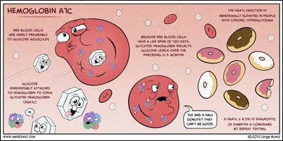 Hemoglobin A1c cartoon explanation