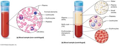 Blood sample showing plasma and formed elements