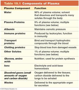 Major types of plasma proteins