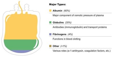 Table of plasma components and functions
