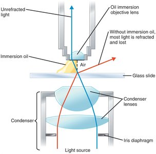 Refraction and oil immersion in microscopy