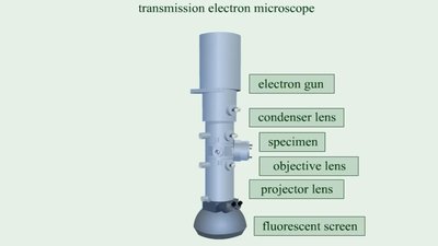 Transmission electron microscope diagram