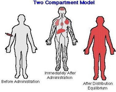 Two Compartment Model