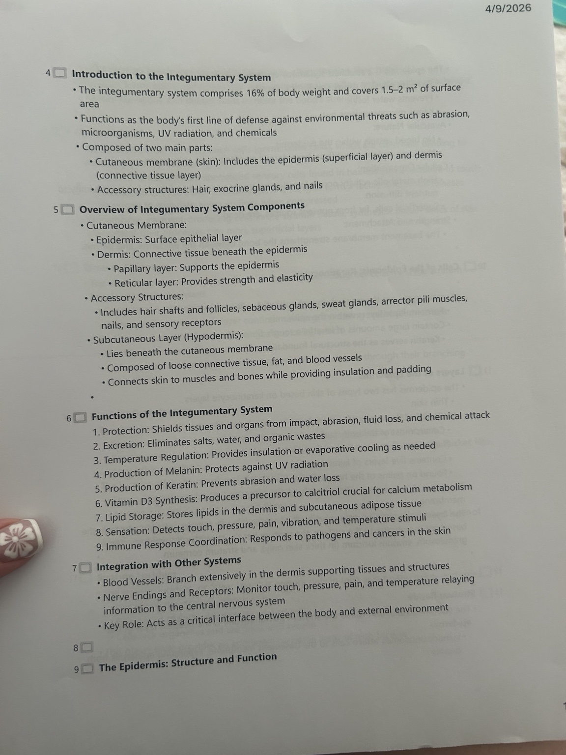 Page showing integumentary system notes