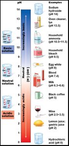 The pH scale and pH values of representative substances