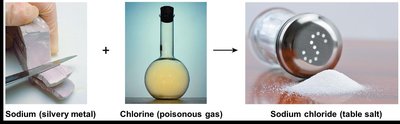 Properties of a compound differ from those of its atoms