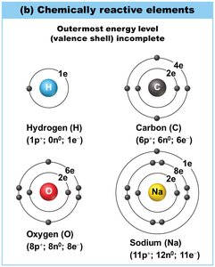 Chemically reactive elements: hydrogen, carbon, oxygen, sodium