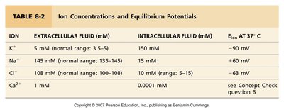 Table of ion concentrations and equilibrium potentials
