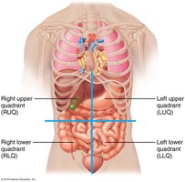 Abdominopelvic quadrants