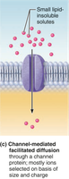 Channel-mediated facilitated diffusion