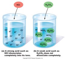 Diagram comparing strong and weak acids in solution