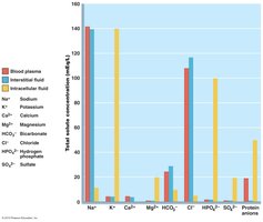 Bar graph comparing electrolyte concentrations in plasma, interstitial fluid, and intracellular fluid