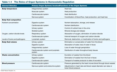 Table: Roles of organ systems in homeostatic regulation