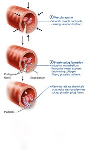 Coagulation steps