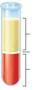 Blood plasma and formed elements