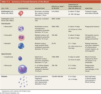 Table: Summary of formed elements