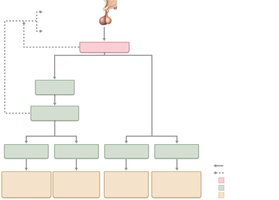 Growth hormone feedback and actions