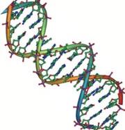 DNA molecule representing heredity and evolution
