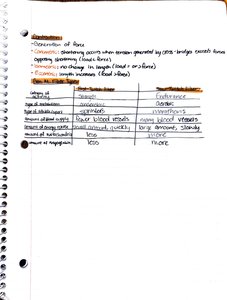 Muscle fiber types comparison table