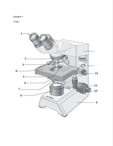 Labeled microscope diagram