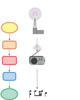 Signal transduction