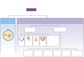 Multiple meanings of receptor